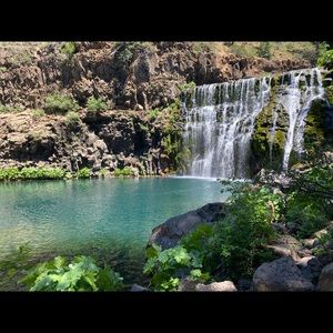 Meet your Posher, Lizzy